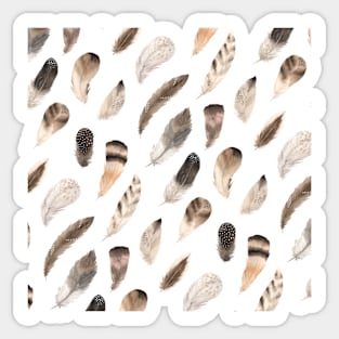 Brown Watercolor Feathers Sticker